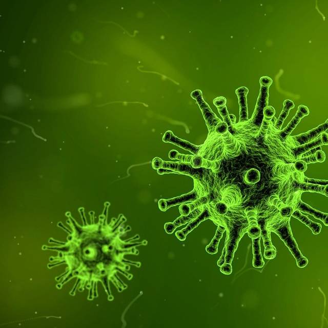 Coronavirus