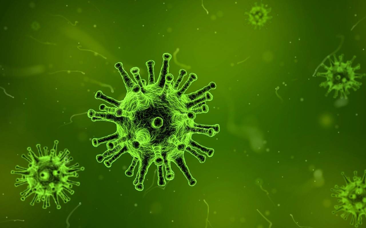 Coronavirus