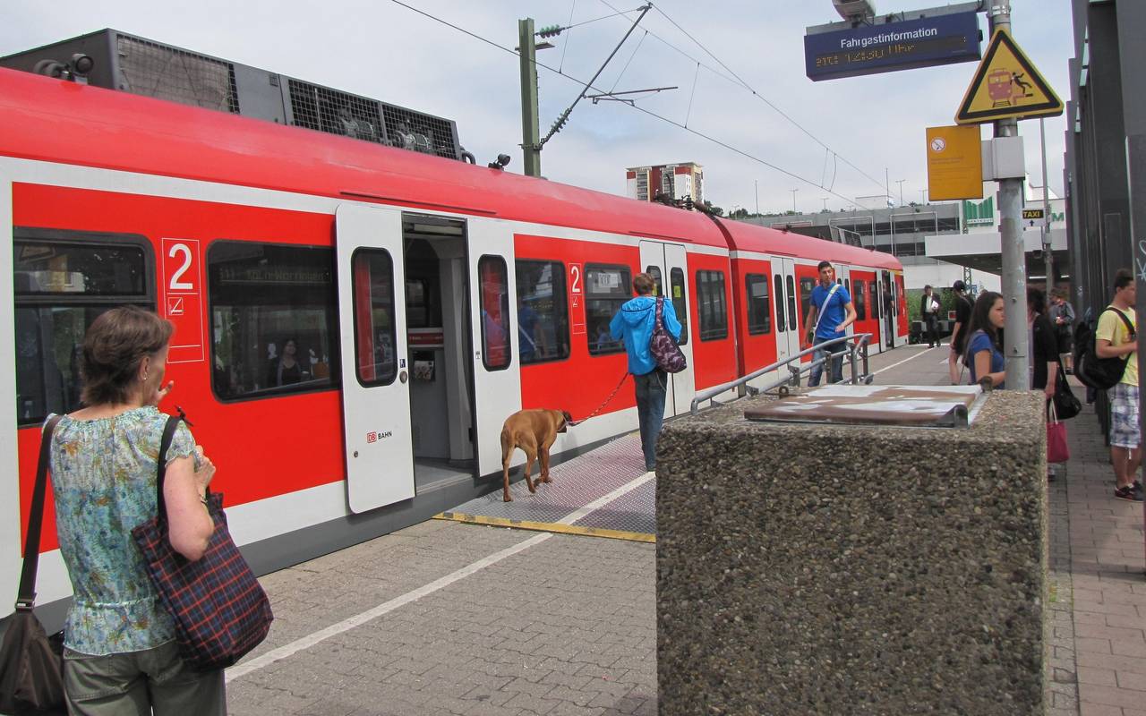 Bergisch Gladbach S11