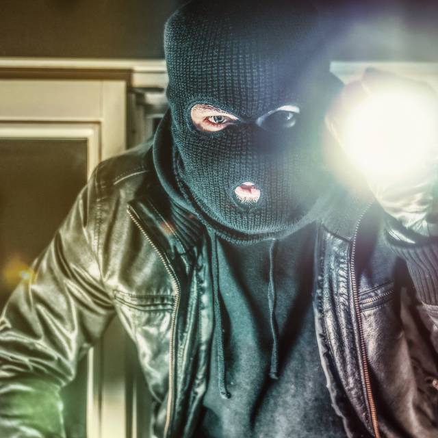 Einbrecher Polizei