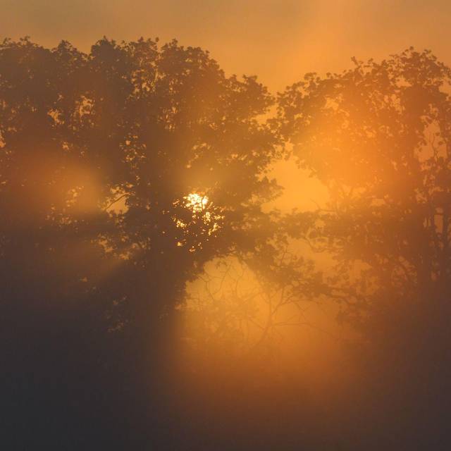 Morgens in Brandenburg