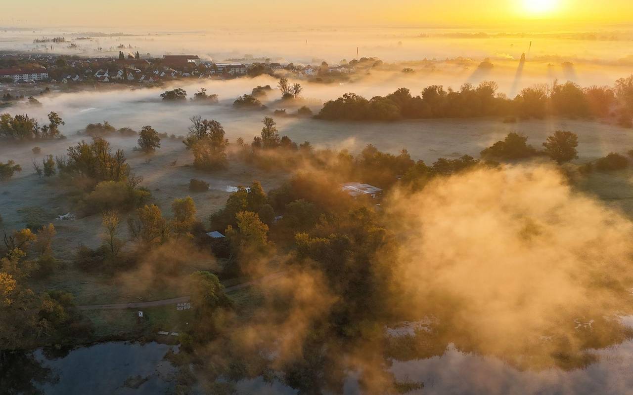 Nebel im Herbst
