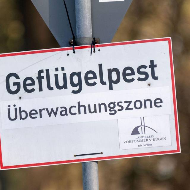 Vogelgrippe