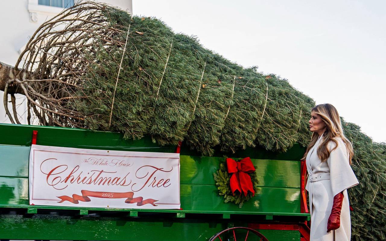 Ankunft des Weihnachtsbaums im Weißen Haus