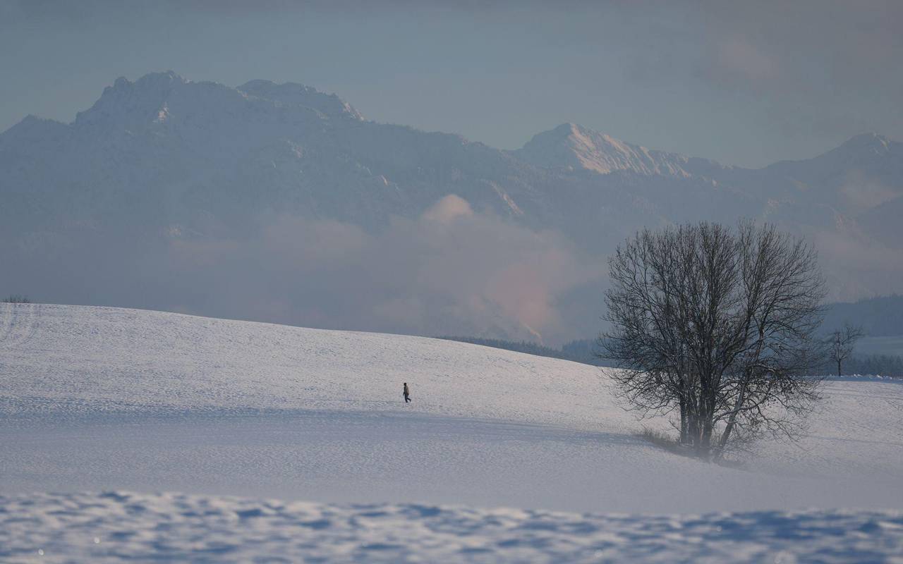 Abendliche Winterlandschaft