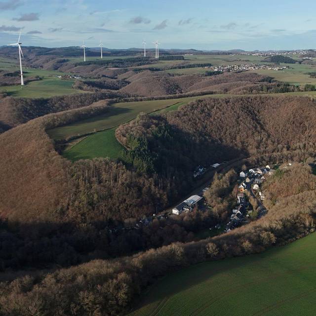 Fund einer Leiche in Rheinland-Pfalz