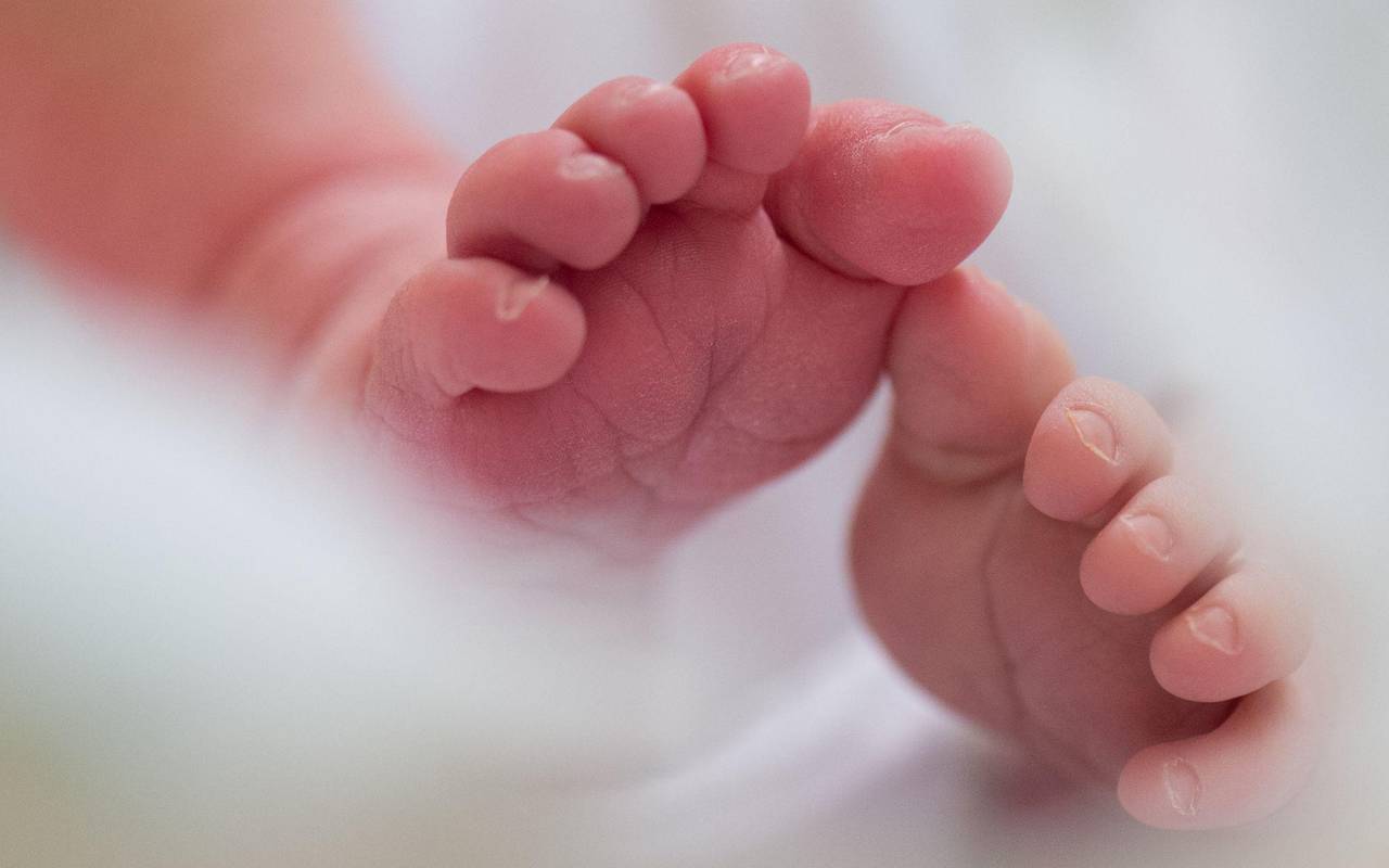 Illustration - Geburten