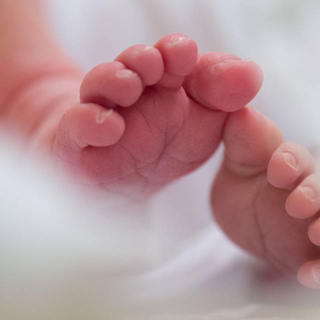 Illustration - Geburten