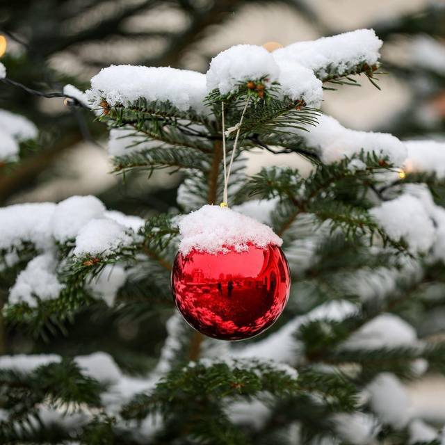 Wie stehen die Chancen für weiße Weihnachten?