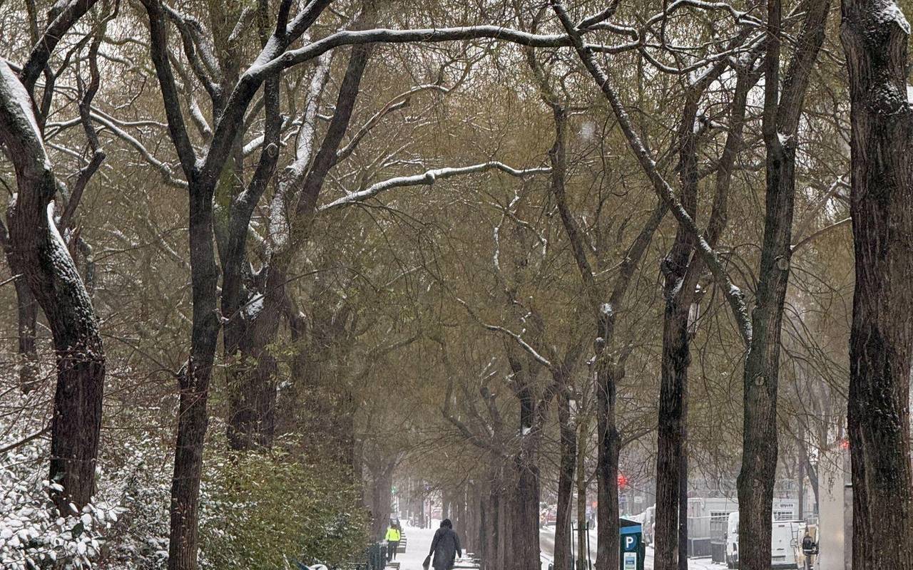 Schnee in Paris
