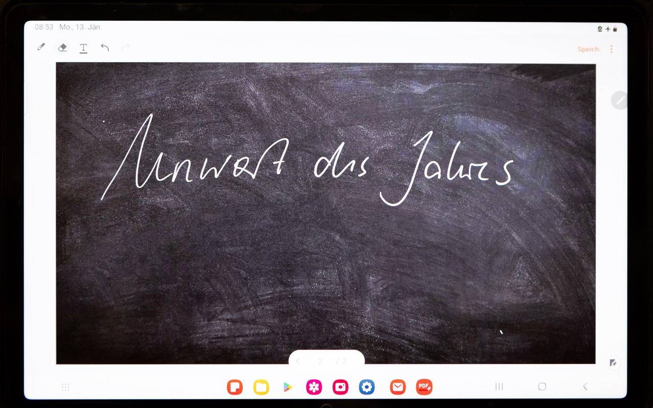 Jury gibt «Unwort des Jahres» bekannt