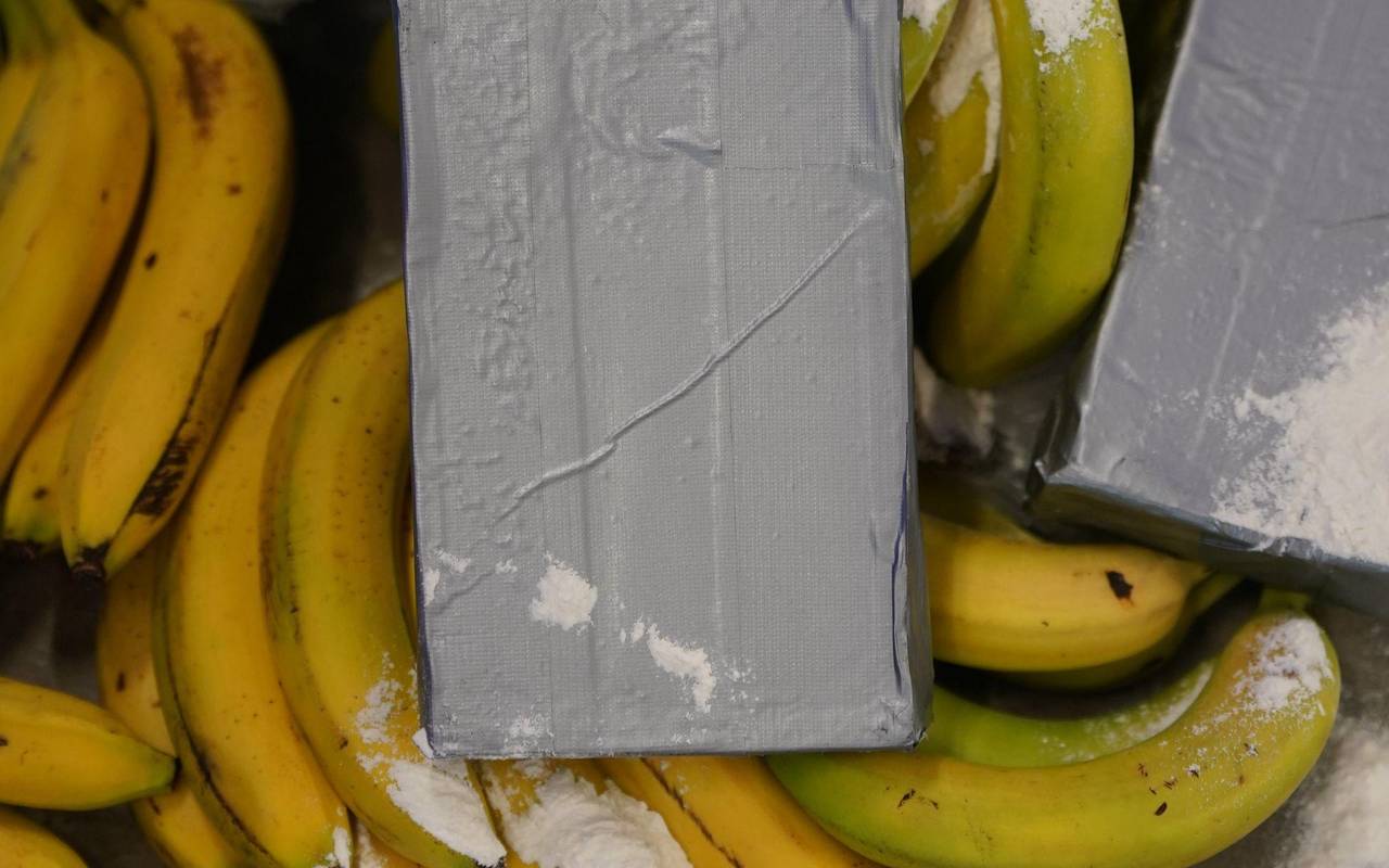 Weißes Pulver, das Kokain darstellen soll, liegt neben Bananen.