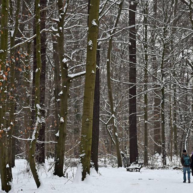Winterwetter in Deutschland - Hannover