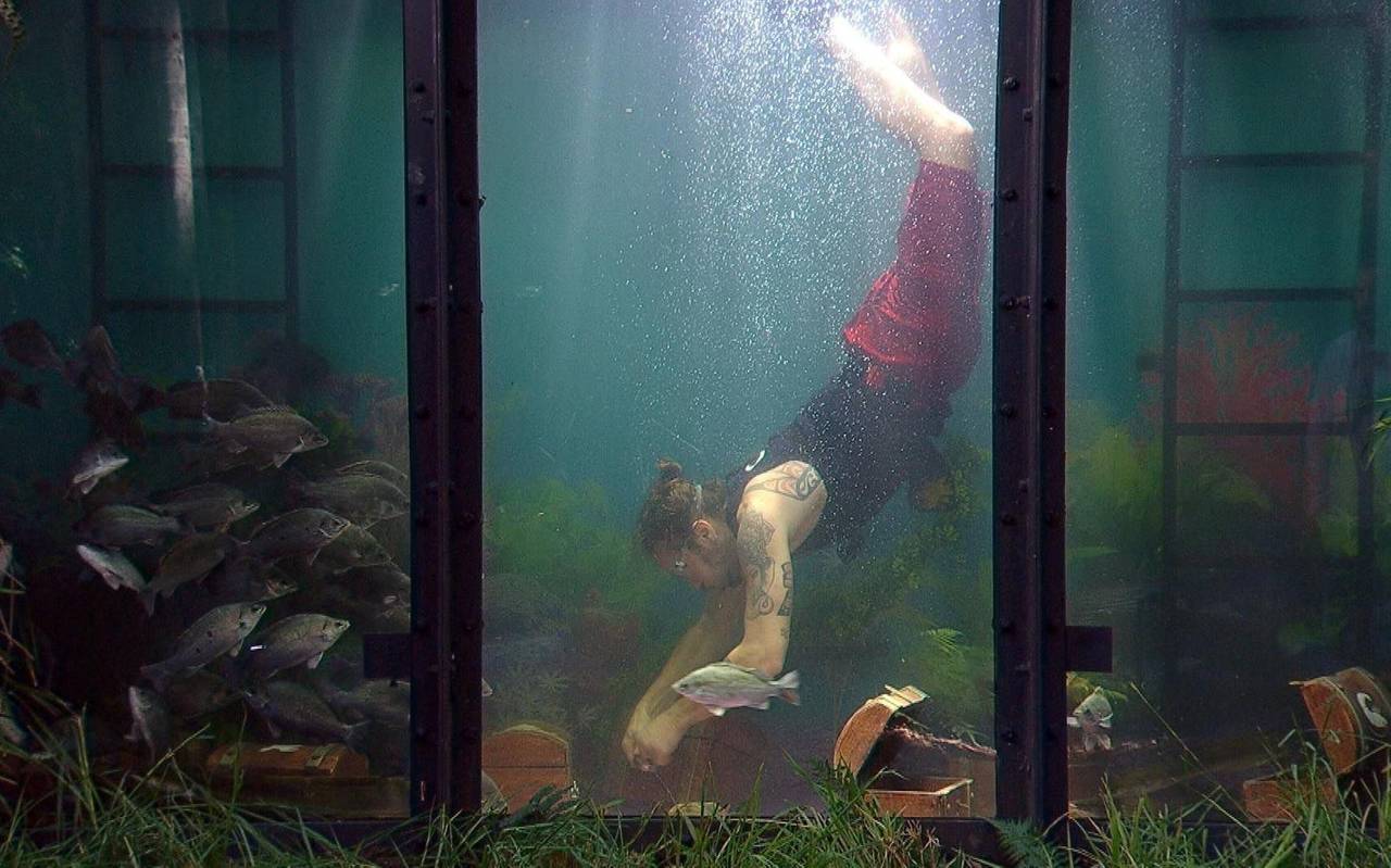 Ich bin ein Star - Holt mich hier raus! - Tag 10