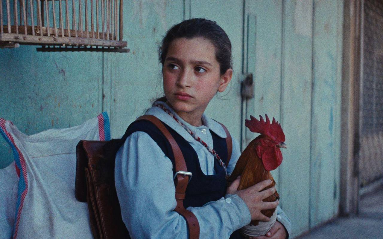 Kinostart - «Ein Kuchen für den Präsidenten»