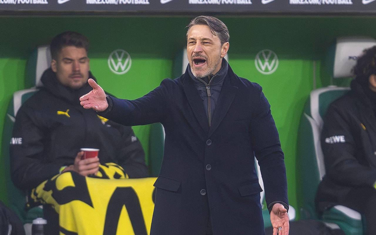 VfL Wolfsburg - Borussia Dortmund