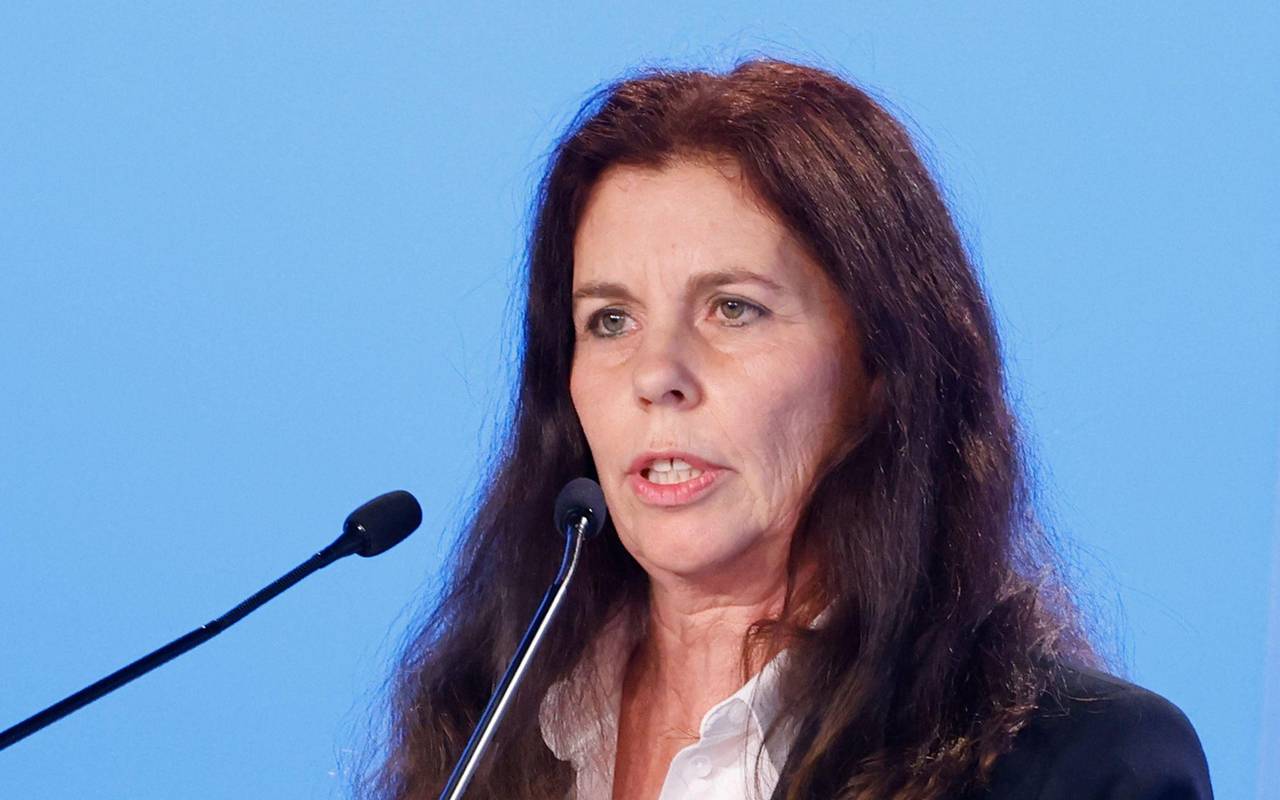 AfD Europawahlversammlung