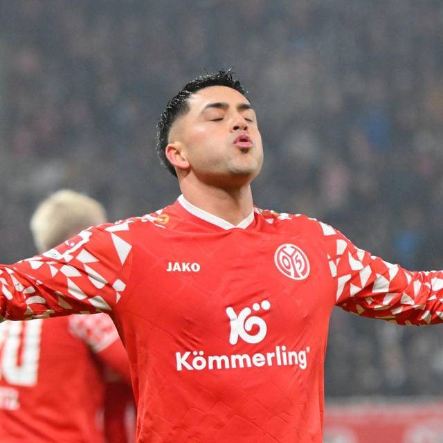FSV Mainz 05 - Hamburger SV