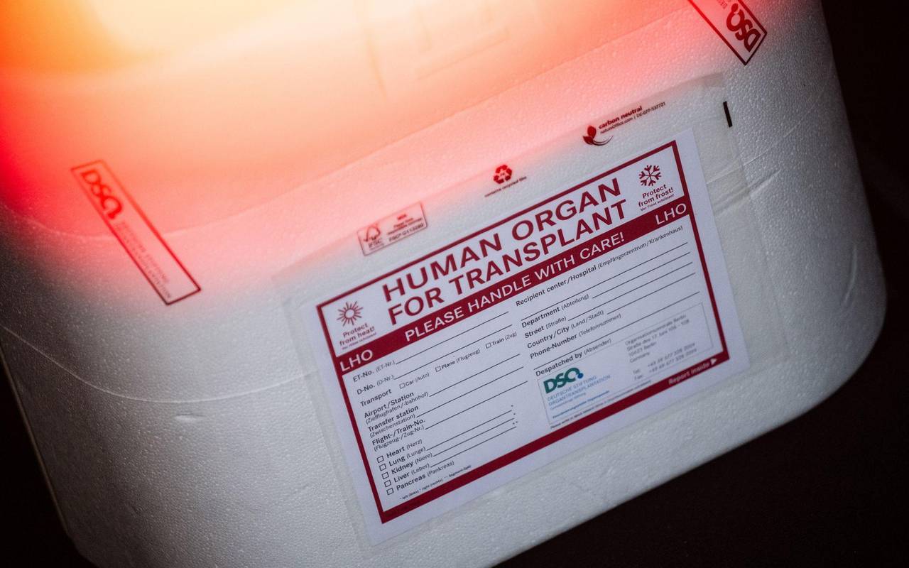 Illustration - Organspende