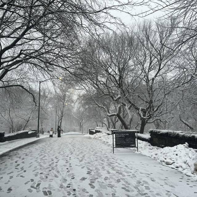 Winterwetter in New York