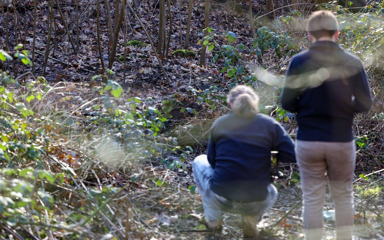 Polizeieinsatz in Waldstück - Fund einer Frauenleiche