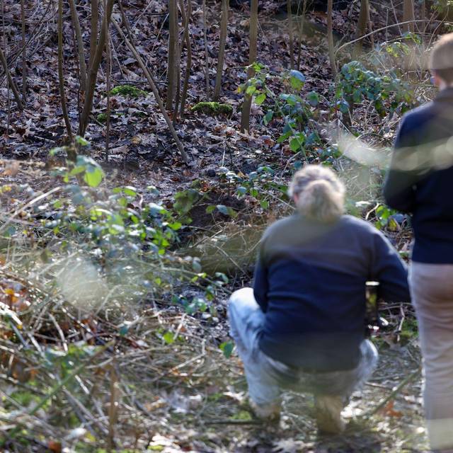 Polizeieinsatz in Waldstück - Fund einer Frauenleiche