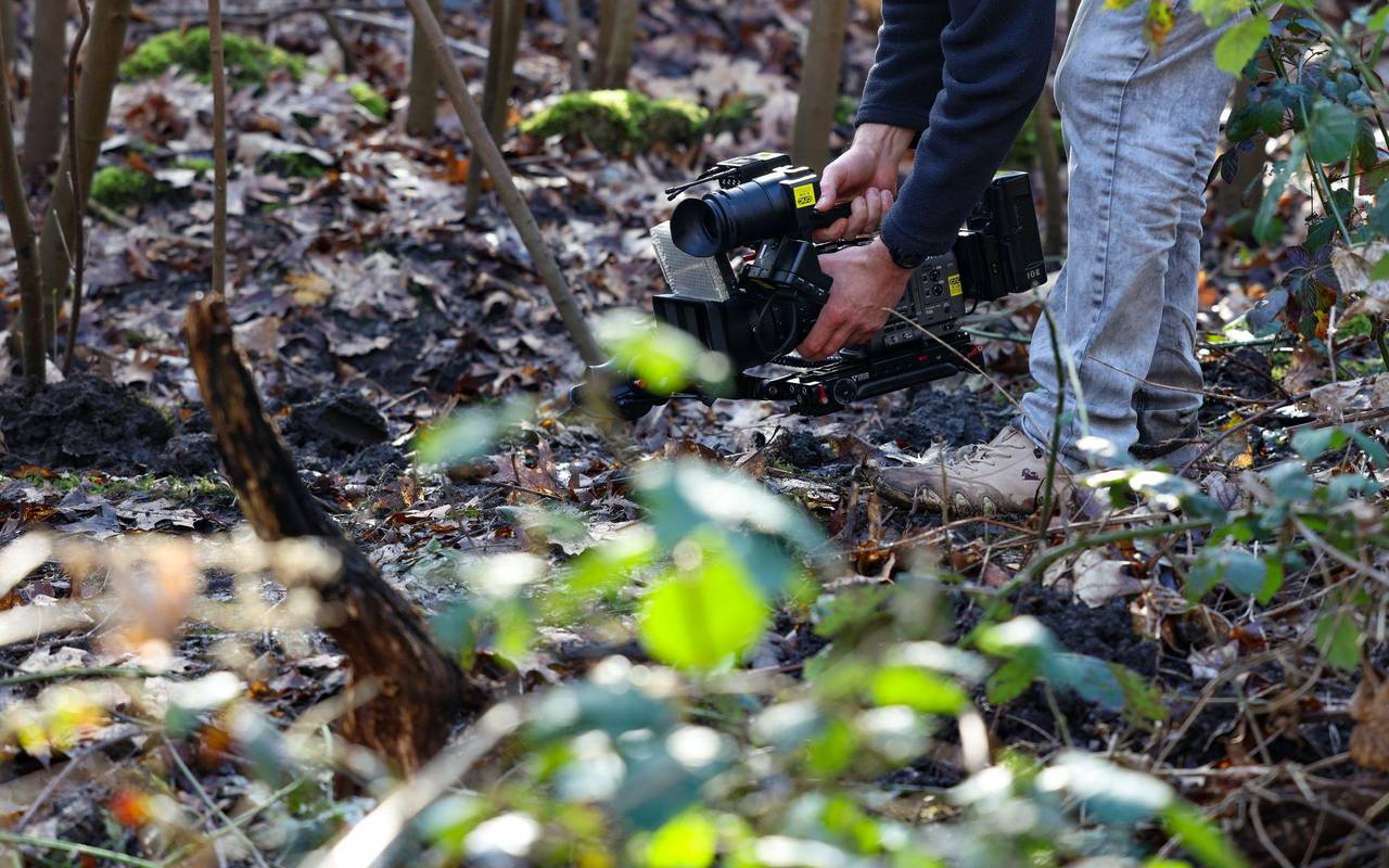 Polizeieinsatz in Waldstück - Fund einer Frauenleiche