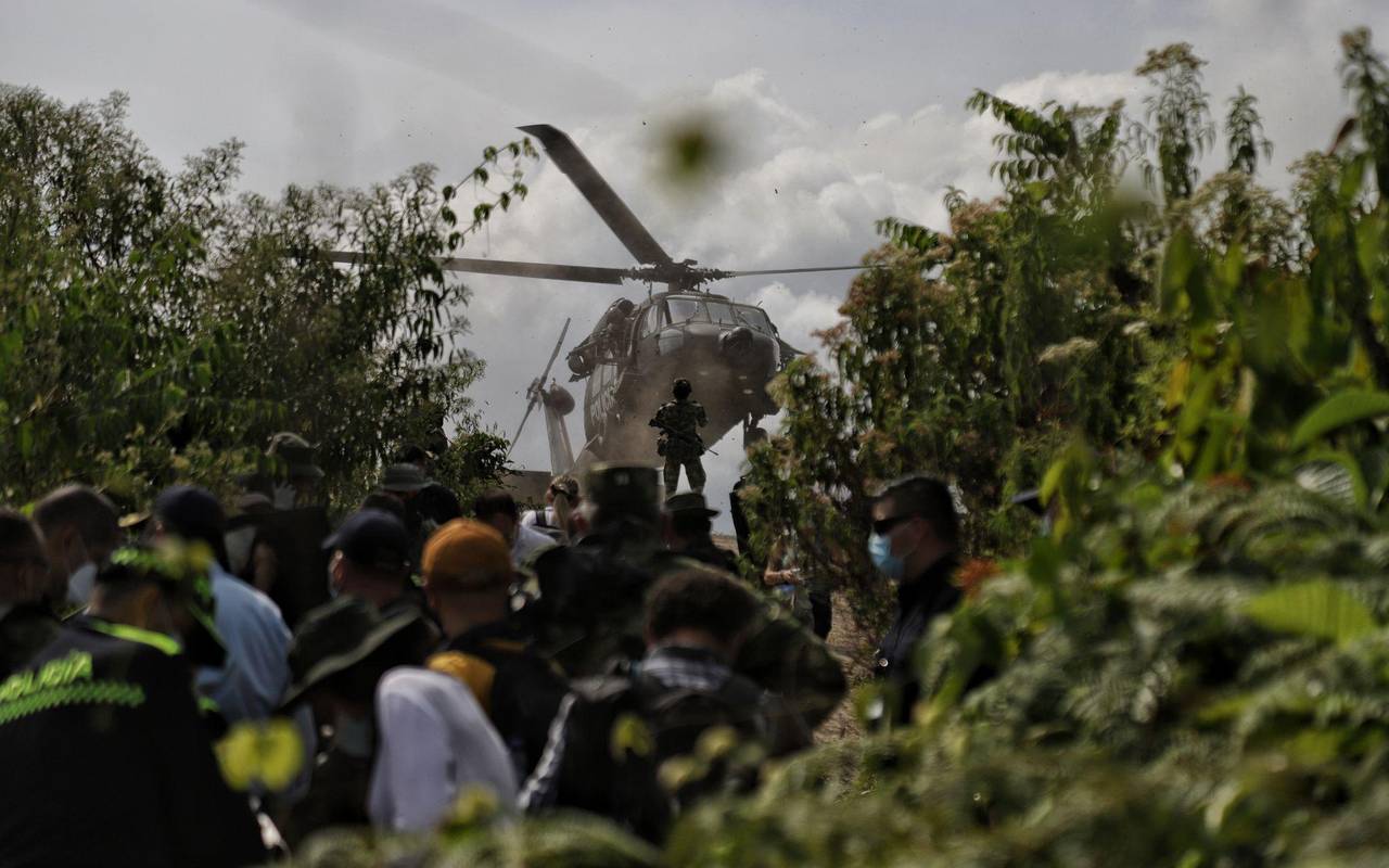 Koka-Anbau in Kolumbien