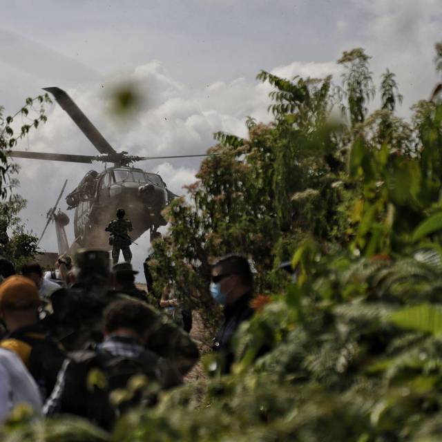 Koka-Anbau in Kolumbien