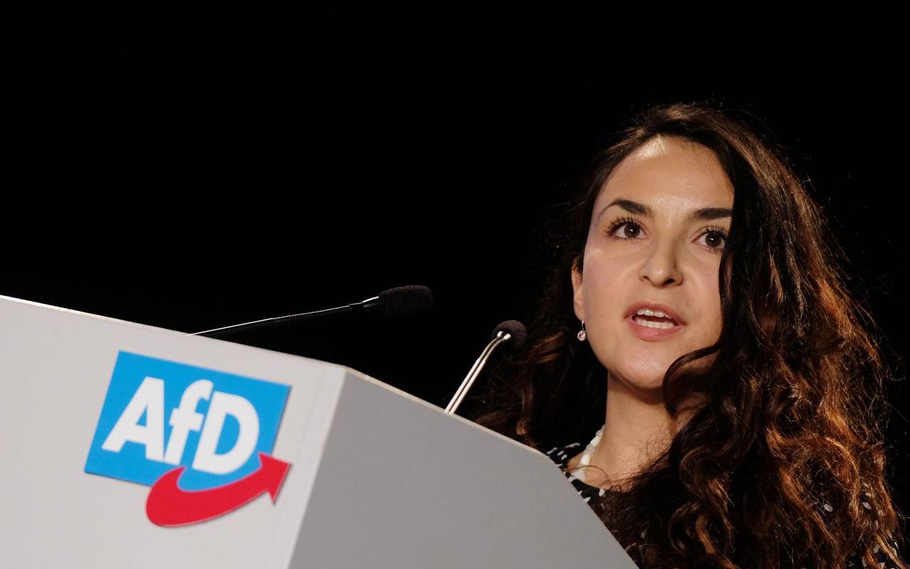 AfD - Europawahlversammlung