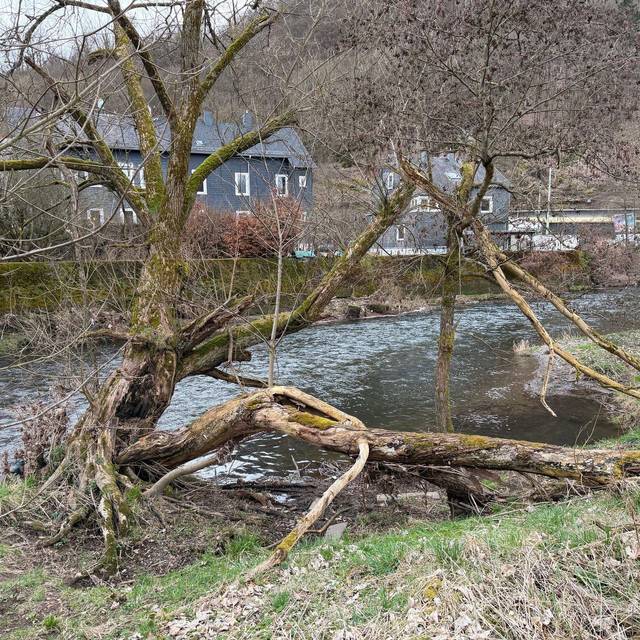 Kind fällt in die Sieg - bewusstlos geborgen