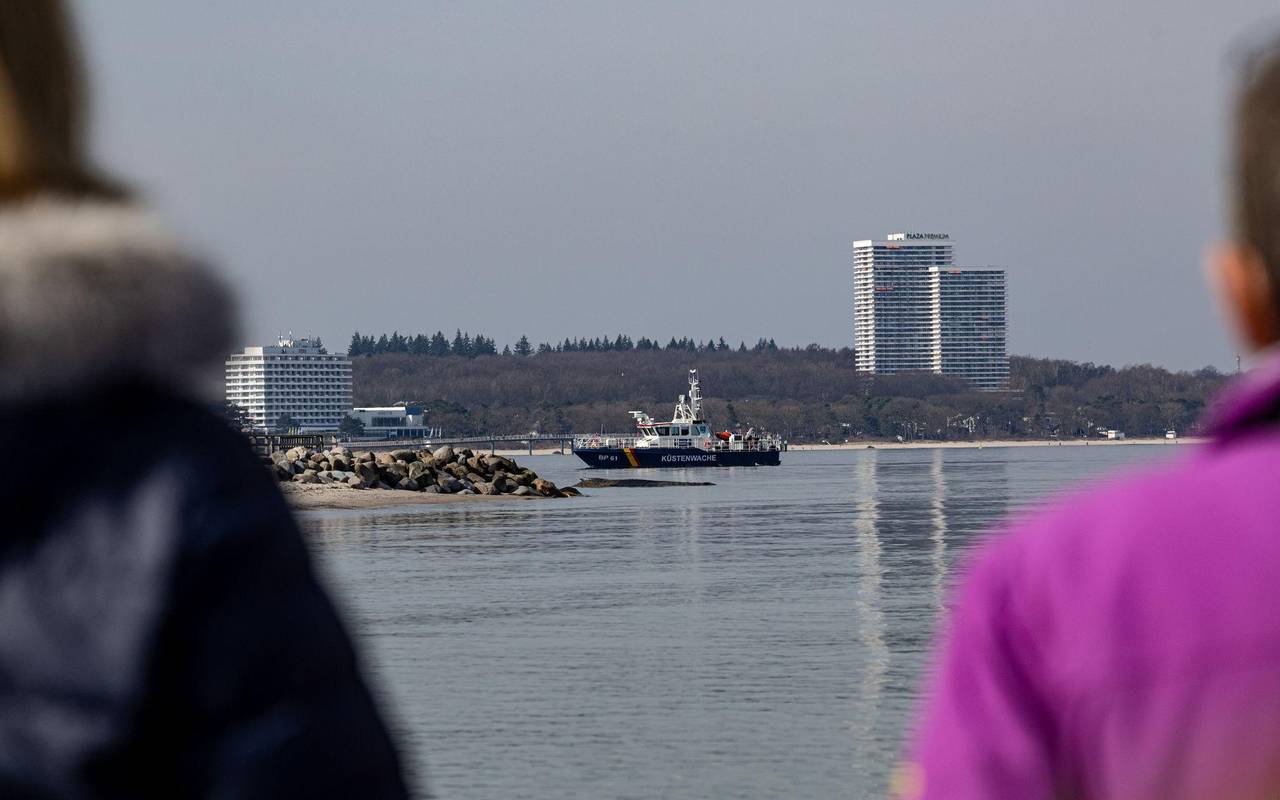 Wal an der Ostseeküste gestrandet
