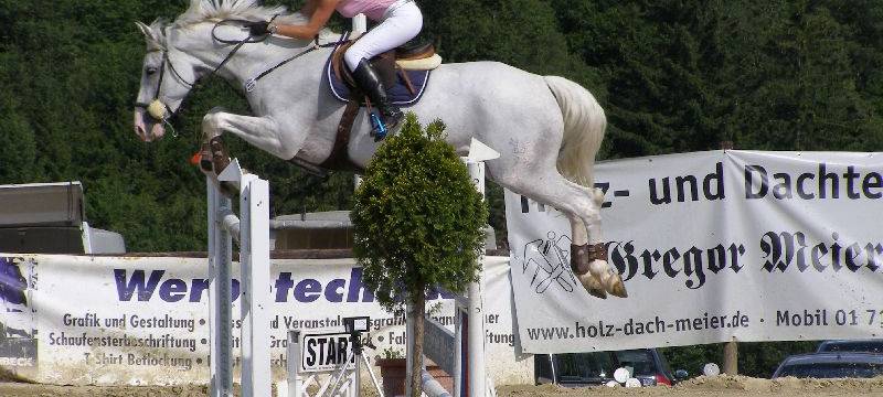 Reitsport: Top-Leistungen in Süttenbach
