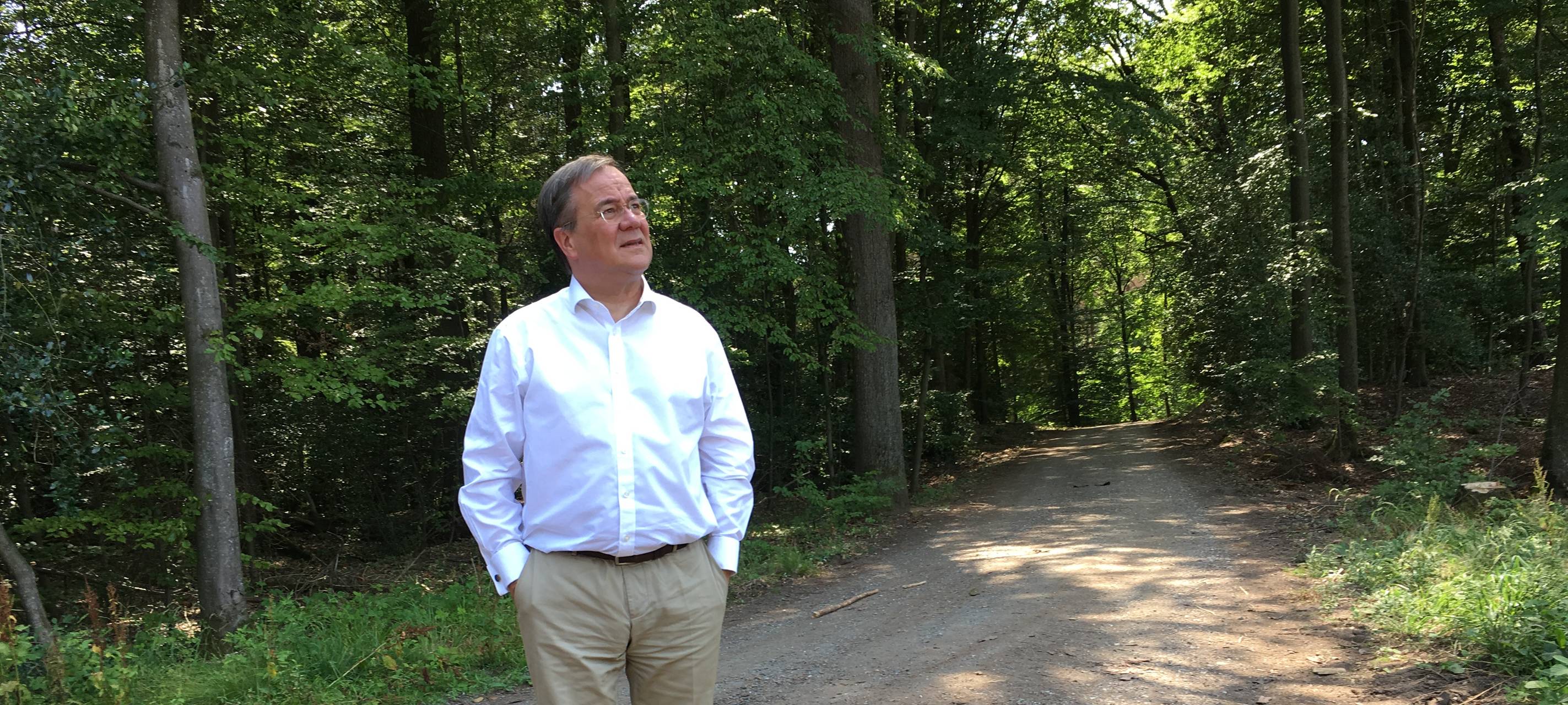Laschet: Über Jahre Millionenbeträge für den Wald