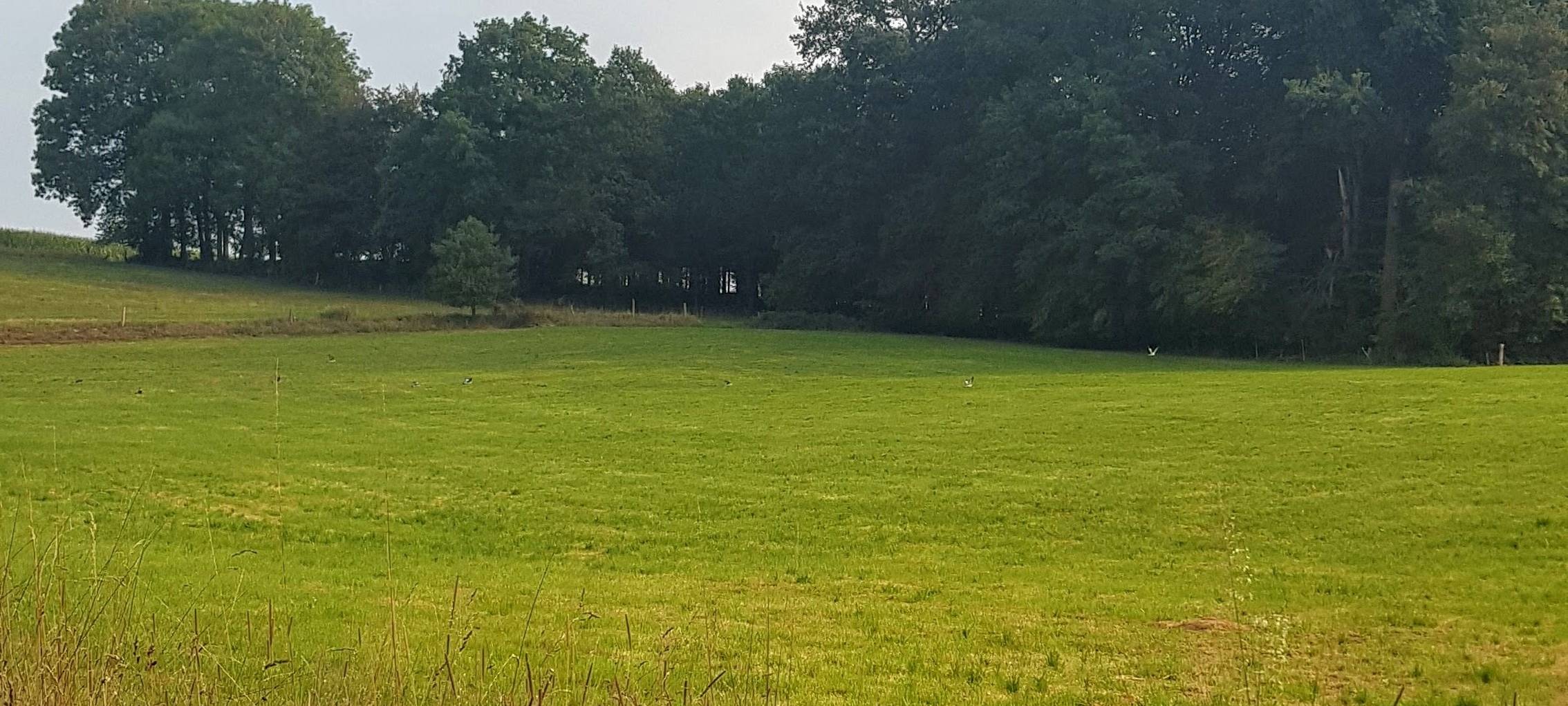 Overath-Klef: Das schönste Kaff im Bergischen!