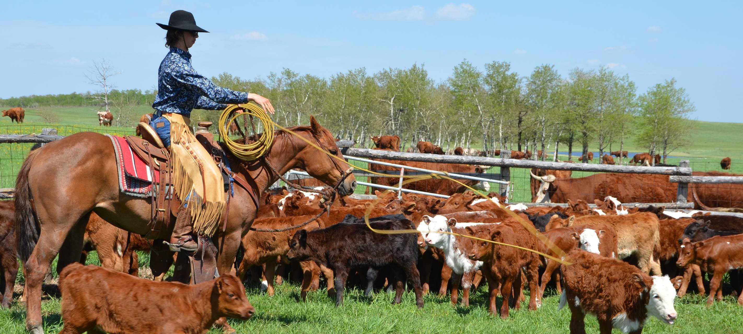 Wermelskirchener ist Europameister im Lassowerfen