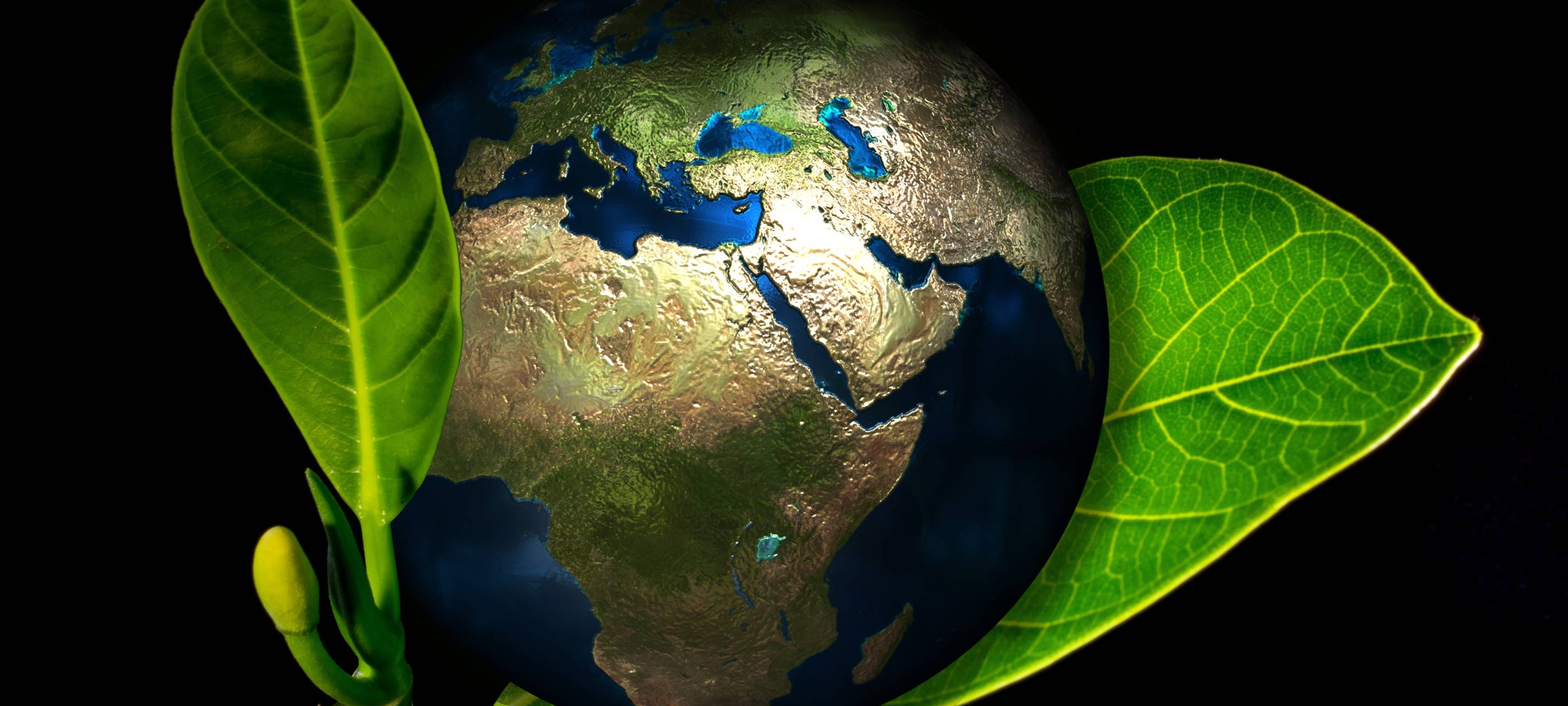 Klima-Streik: Aktionen in Bergisch Gladbach und Lindlar