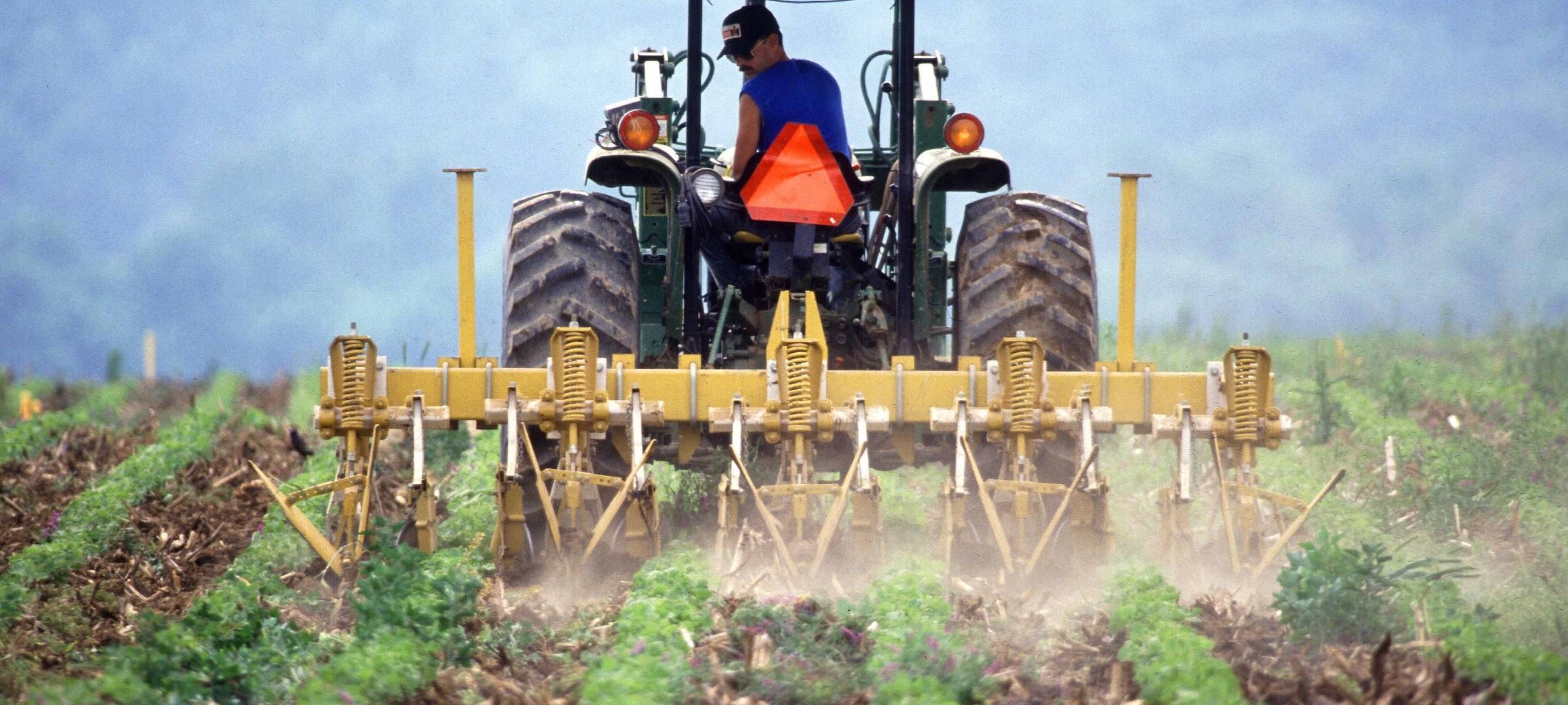 Bergische Landwirte warten auf Regen