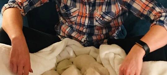 Wermelskirchen: Grüner Golden Retriever Welpe