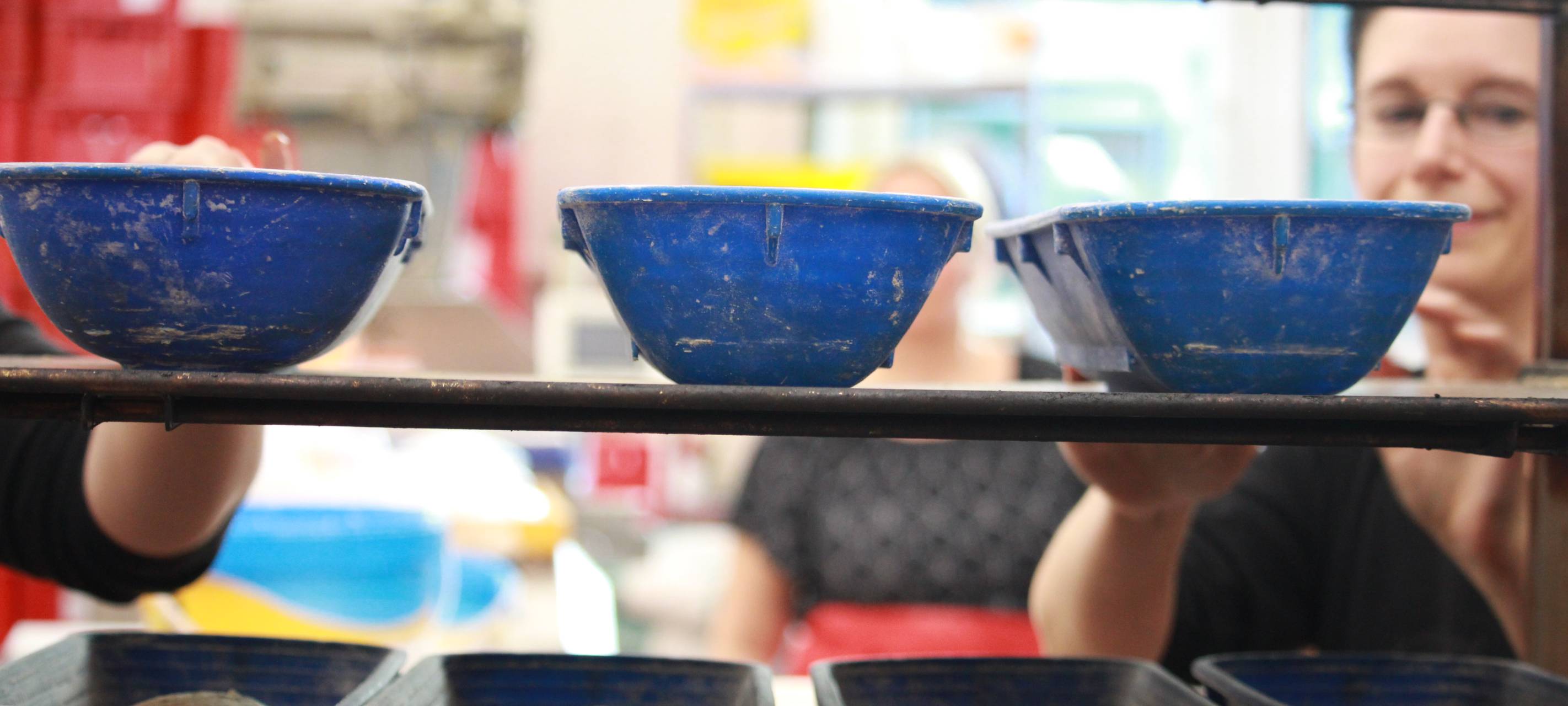 Rustikorn: Unser Radio Berg-Brot