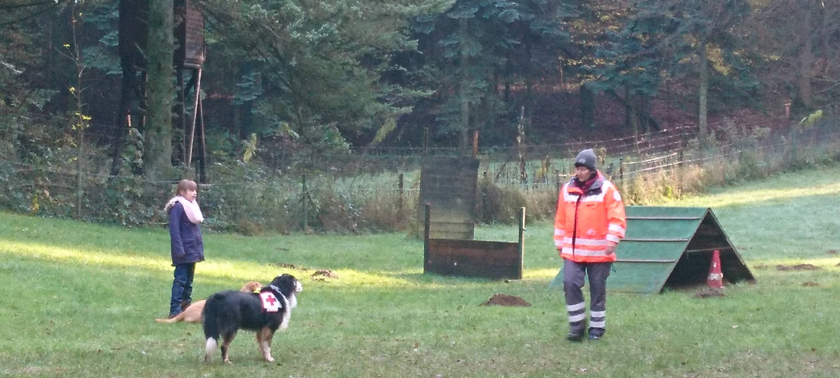 Training der Rettungshundestaffel