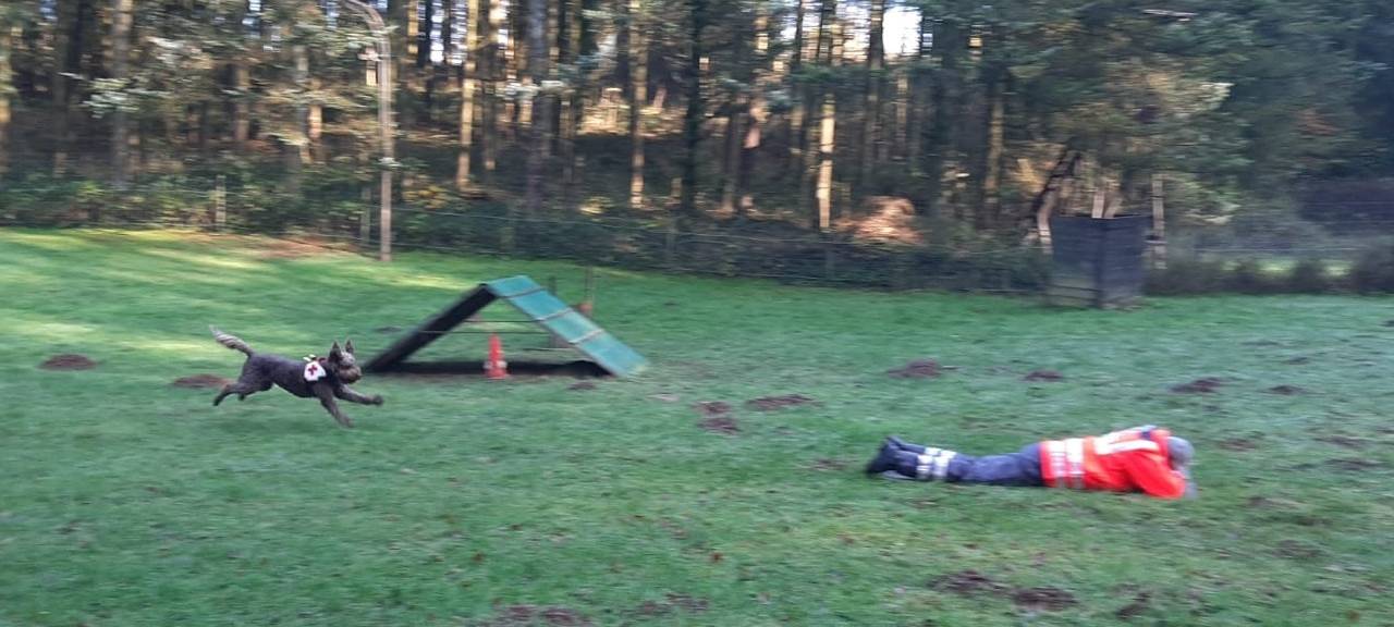 Training der Rettungshundestaffel
