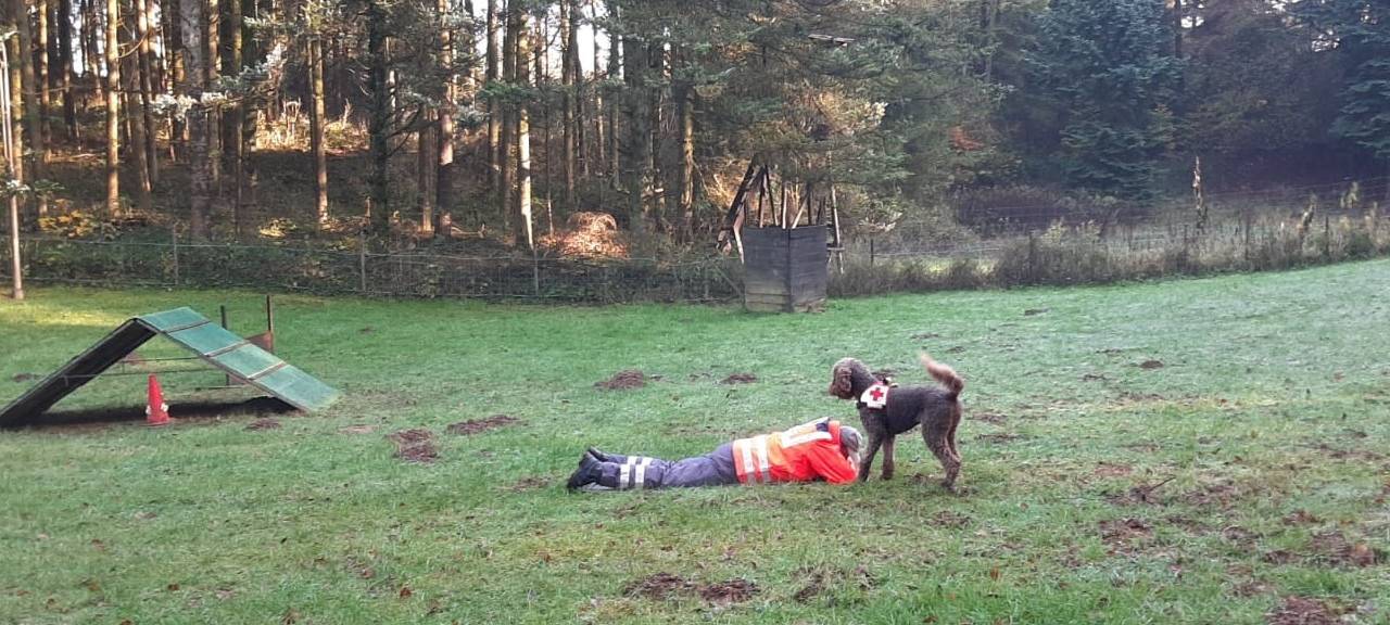 Training der Rettungshundestaffel