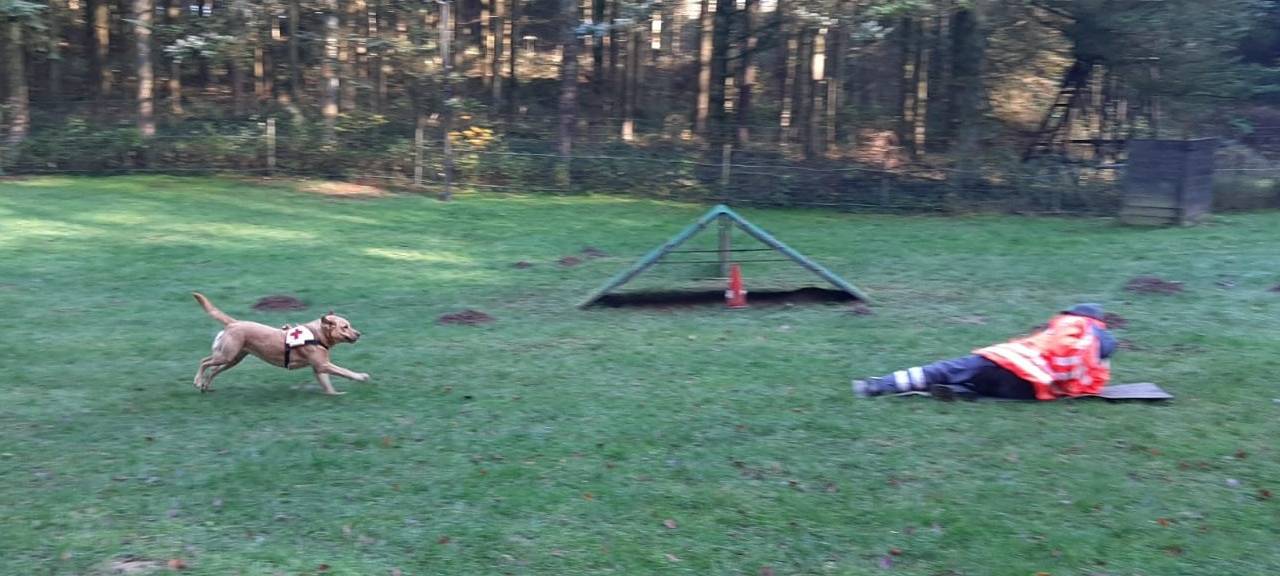 Training der Rettungshundestaffel