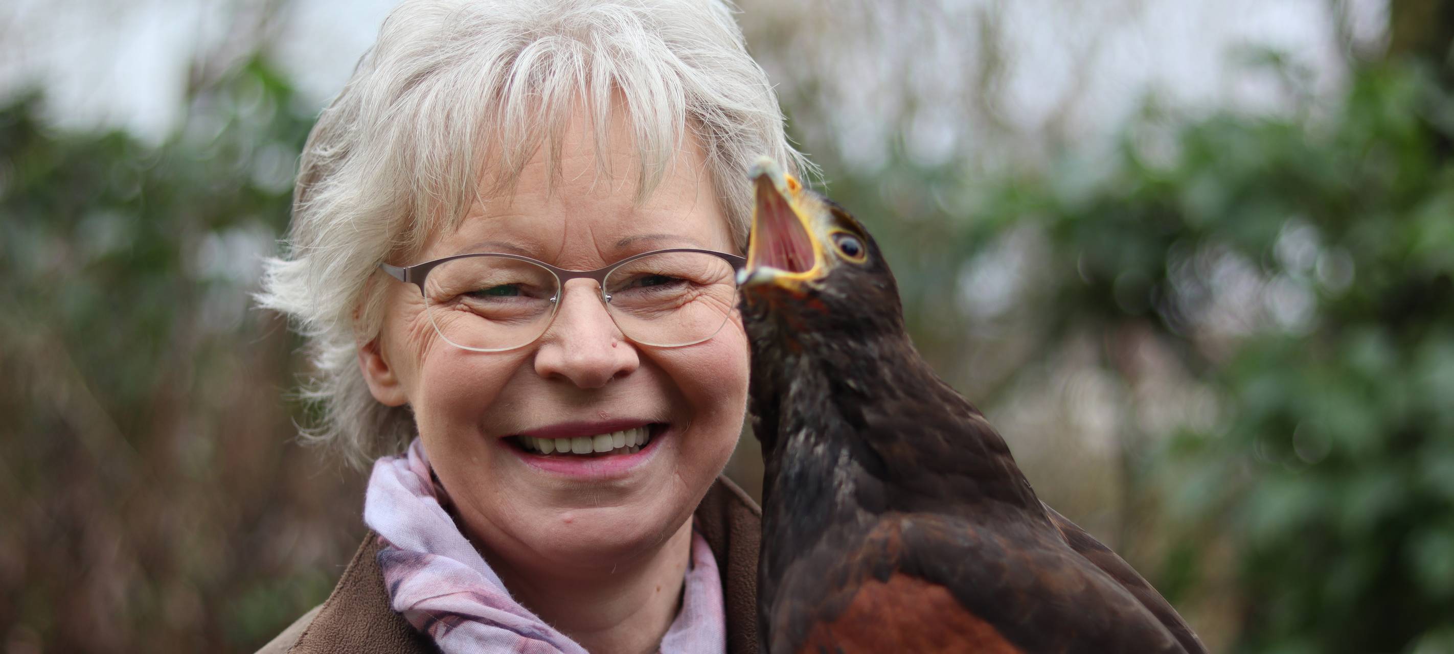 Bussard in der Hand und Tauben auf dem Dach