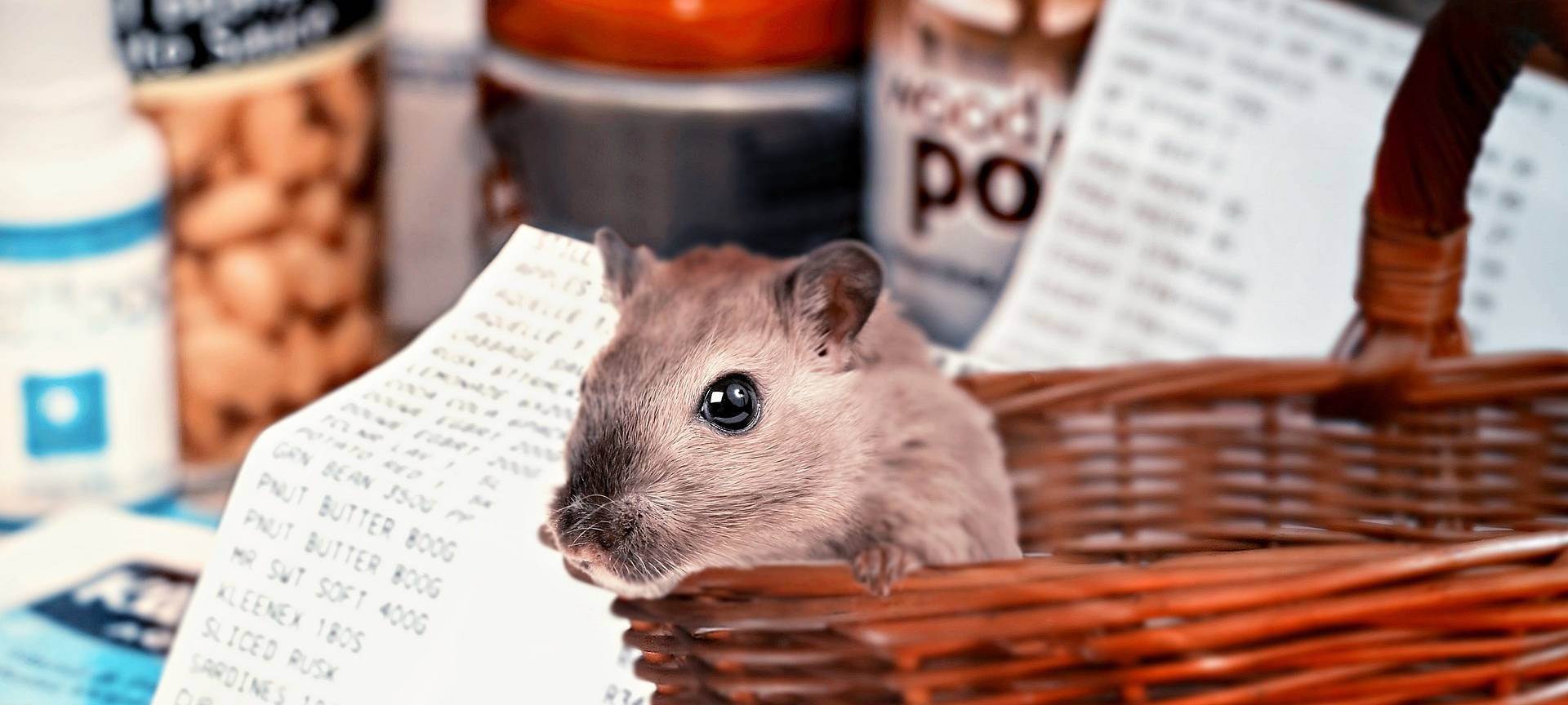 Hamsterkauf