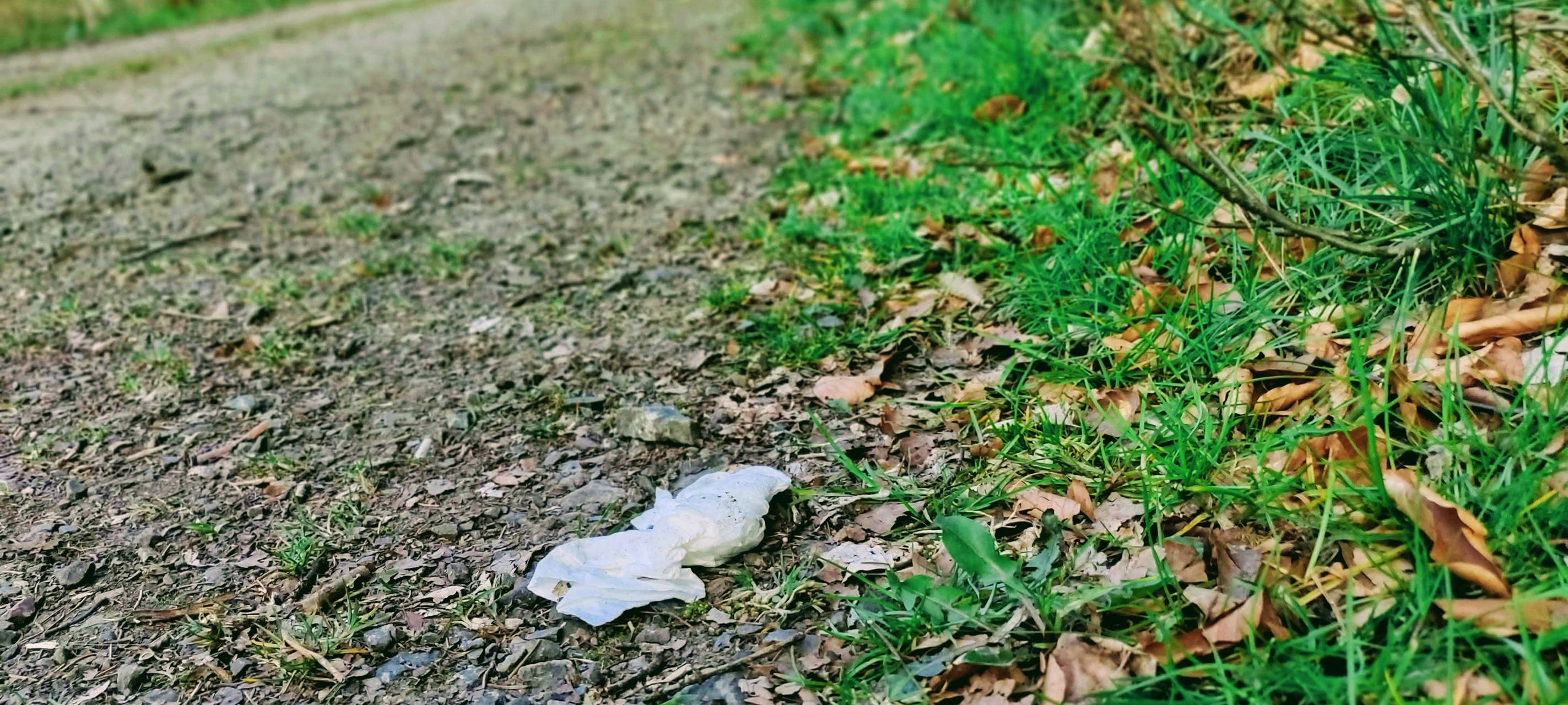 BAV ruft zum Frühjahrsputz auf