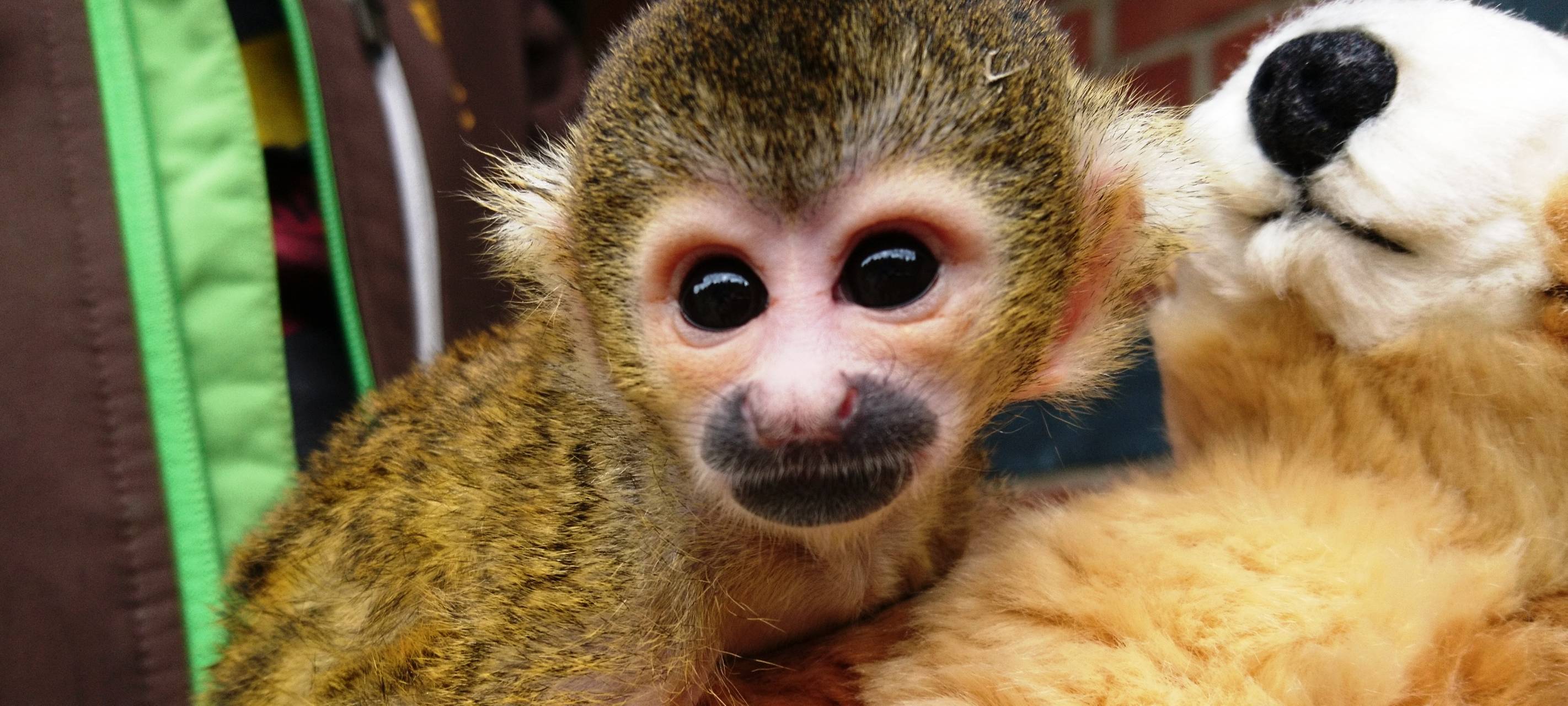 Zoos, Tierparks und Museen im Bergischen - Wann öffnet was?