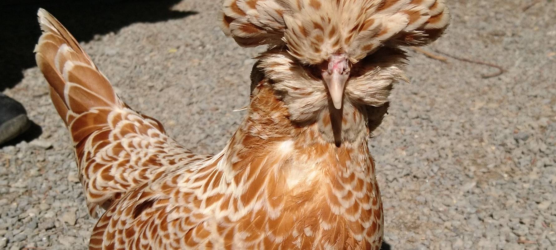 Große Wiedersehensfreude im Affen- und Vogelpark