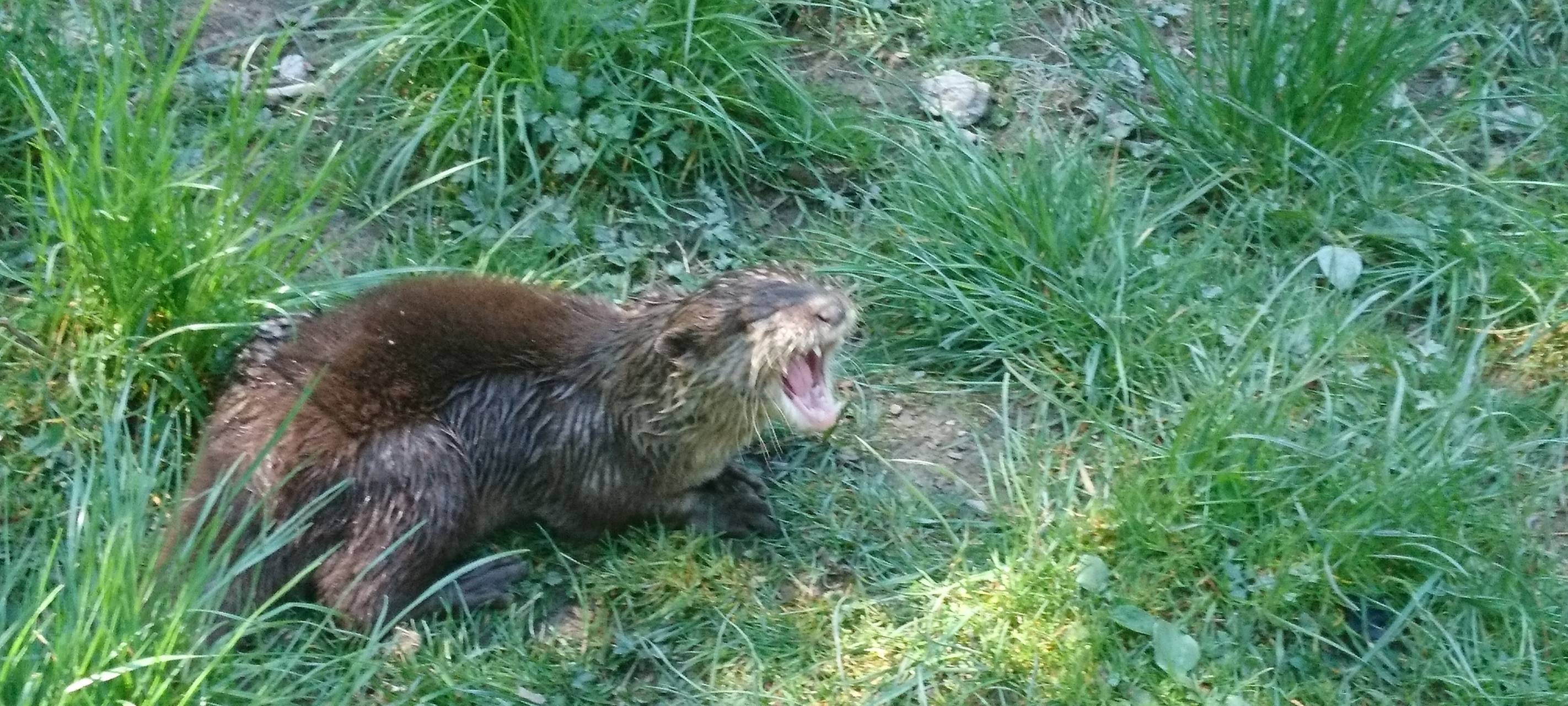 Große Wiedersehensfreude im Affen- und Vogelpark